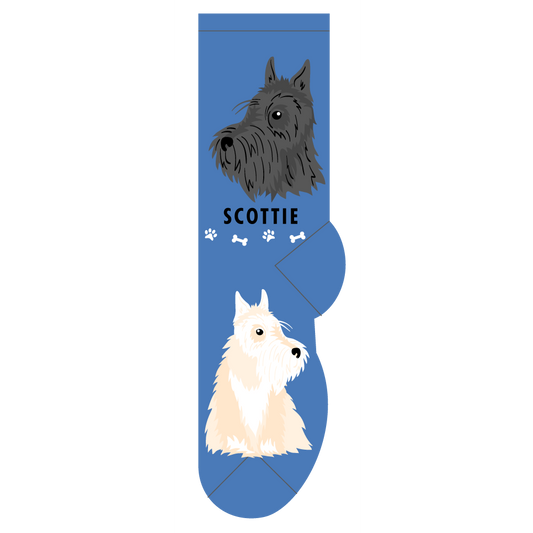 Scottie